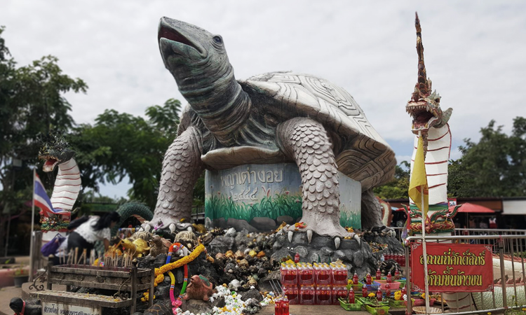 พญาเต้างอย